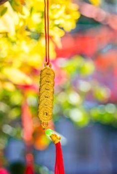 cai cá cược bóng đá